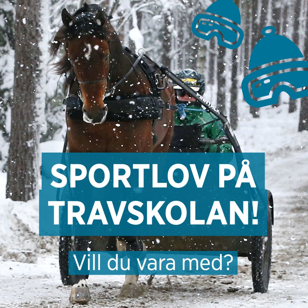 Sportlov